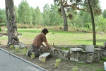 1314122010.08.14..jpg