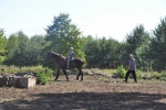 1315052010.07.31.-(2).jpg
