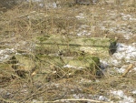 1320352010.03.07-(2).jpg