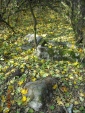 1322012008.09.18---4.jpg