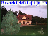 Brz�zki dzisiaj i jutro