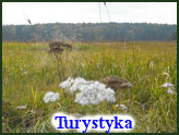Turystyka