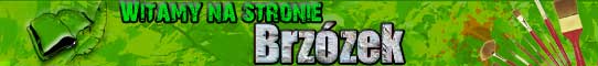 zima w Brz�zkach